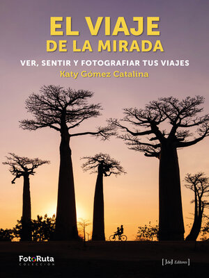 cover image of El viaje de la mirada